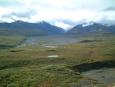 Beautiful Denali scenery