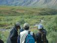 Bear spottings draw an immediate audience throughout the park
any many documentary crews were present to film them
