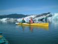 Paddling in a sea of icebergs