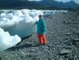 At low tide icebegs get stranded on the rocky beaches