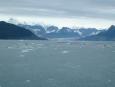 Prodigeous numbers of icebergs calve off the Columbia Glacier and
flow into the shipping channels of Price William Sound