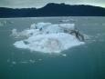 Icebergs like this are huge floating islands