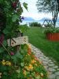 Shorebird Guest House's magnificent garden