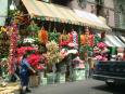 A flower shop in Mexico City's Centro Histrico