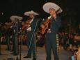 A Mariachi band entertains the crowd