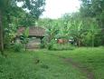 Typical homestead on Isla de Ometepe