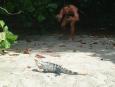Don't harass the iguanas!