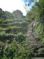 The steep trail up Huayna Picchu