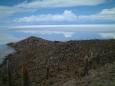 The surreal cactus landscape on Isla de Pescado