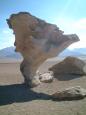 The amazing wind-sculpted "arbol de piedra" (stone tree)