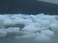 Icebergs of every size and shape in Lago Onelli