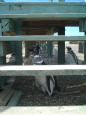 "Under the boardwalk, down by the sea,
With my Magellanic penguins, that's where I'll be"