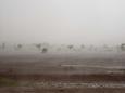 A dust storm blew up into a rare desert rainstorm