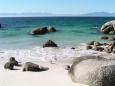 Simon's Town penguin colony