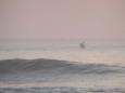 No it's not Nessie! A Southern Right whale breaches 100m off the coast