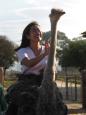 Keiko demonstrates it is possible to mount an ostrich (if you want to)