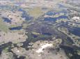 The Okavango Delta from the air