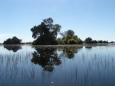 Getting around the Jacana wetlands by mokoro 