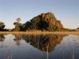 Getting around the Jacana wetlands by mokoro 