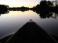 Mokoro trip at dusk