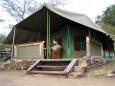 Migration Camp