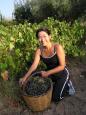 Luckily, Keiko isn't getting paid by the weight of the grapes she's picked!