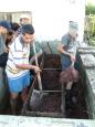 The next day, the grapes are squeezed using a wooden press