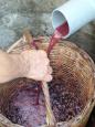 The grape juice is strained through a wicker basket before collection