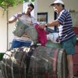 Taki and John pour the wash into the barrels