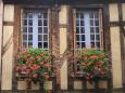 Around the quaint streets of Troyes