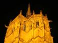 The Amboise chteau by night