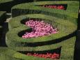 The legendary gardens at Chteau de Villandry