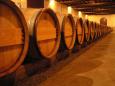 Barrels of fine red wine mature at Chteau Palmer