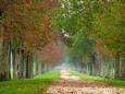 Autumn colours around Chteau Margaux