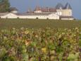 Chteaux d'Yquem