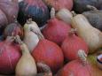 Saturday market, Aix-en-Provence