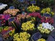 Saturday market, Aix-en-Provence