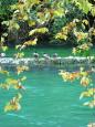 At Fontaine de Vaucluse