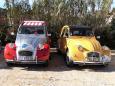 Vintage Citrons, Roussillon