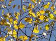 A sunny autumn day in Provence