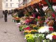 Ljubljana flower market