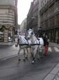 Vienna street scene