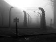 Electric barbed-wire fences, Auschwitz