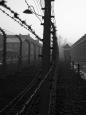 Electric barbed-wire fences, Auschwitz