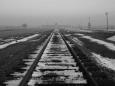 The end of the line: Birkenau