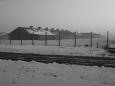 Prisoner barracks, Birkenau