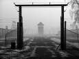 Gate and watchtower, Birkenau