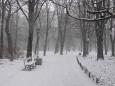 Snowy scene at the city's Saxon Gardens