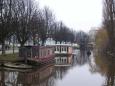 Peaceful canal scene in Leiden