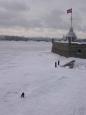 A solitary fisherman braves the ice outside the Peter and Paul Fortress